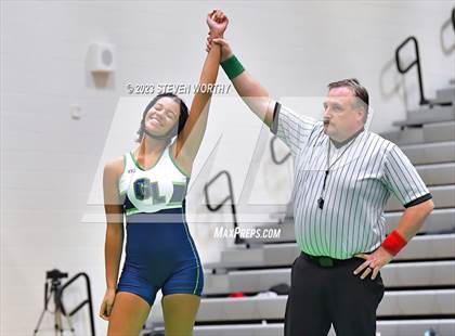 Thumbnail 3 in Green Level vs Green Hope (Combined levels) photogallery.