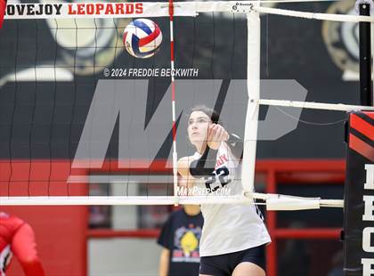 Thumbnail 2 in Melissa @ Lovejoy photogallery.