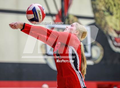 Thumbnail 1 in Melissa @ Lovejoy photogallery.