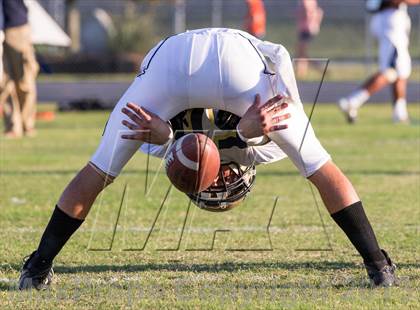 Thumbnail 2 in Durant @ Plant City photogallery.