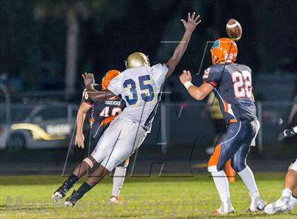 Thumbnail 3 in Durant @ Plant City photogallery.