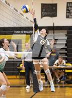 Photo from the gallery "South @ Peninsula"