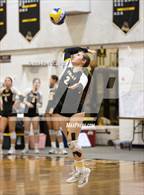 Photo from the gallery "South @ Peninsula"