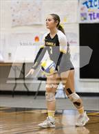 Photo from the gallery "South @ Peninsula"