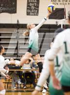 Photo from the gallery "South @ Peninsula"