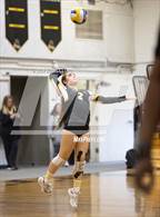 Photo from the gallery "South @ Peninsula"