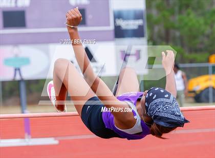 Thumbnail 1 in Daniel Roberts Invite (High Jump) photogallery.