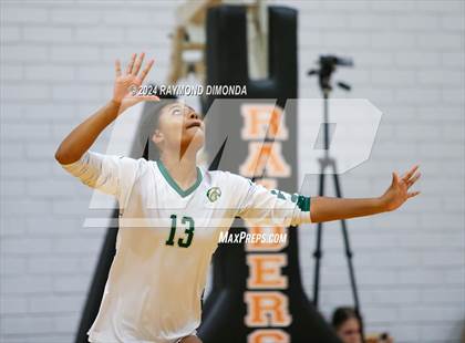Thumbnail 1 in Fleming Island @ Orange Park photogallery.