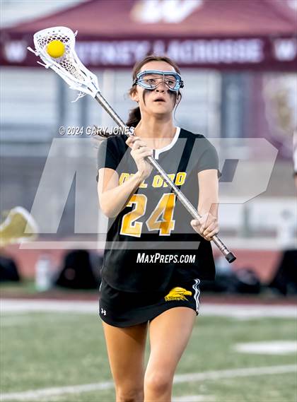 Thumbnail 1 in Del Oro @ Whitney photogallery.