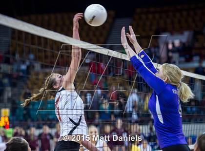 Thumbnail 3 in Paonia vs. Rye (CHSAA 2A Playoff) photogallery.