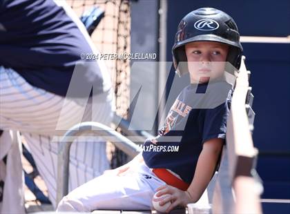 Thumbnail 2 in Plymouth North vs. Walpole (MIAA Division 2 Final) photogallery.