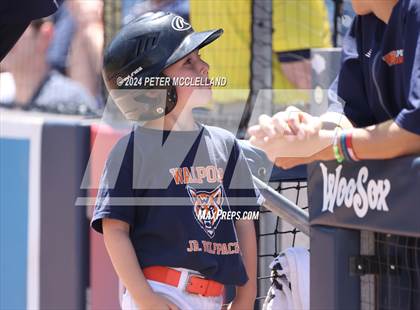 Thumbnail 3 in Plymouth North vs. Walpole (MIAA Division 2 Final) photogallery.