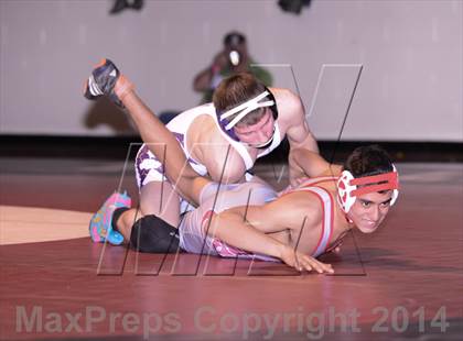 Thumbnail 3 in Chatham Central vs. Mitchell (NCHSAA 1A Dual Team Final) photogallery.