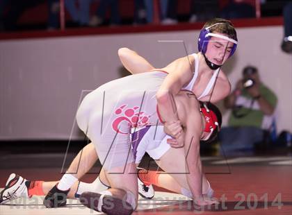 Thumbnail 3 in Chatham Central vs. Mitchell (NCHSAA 1A Dual Team Final) photogallery.