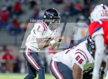 Thumbnail 1 in Sparkman @ Bob Jones photogallery.