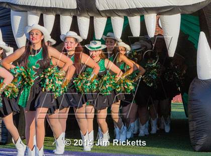 Thumbnail 1 in Hico vs Dublin photogallery.