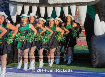 Thumbnail 1 in Hico vs Dublin photogallery.