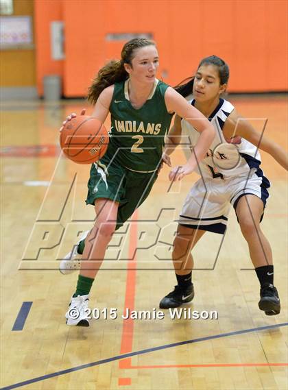 Thumbnail 3 in Indian River @ Delmar photogallery.