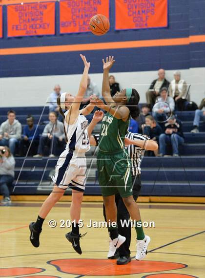 Thumbnail 1 in Indian River @ Delmar photogallery.