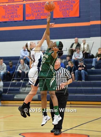 Thumbnail 3 in Indian River @ Delmar photogallery.