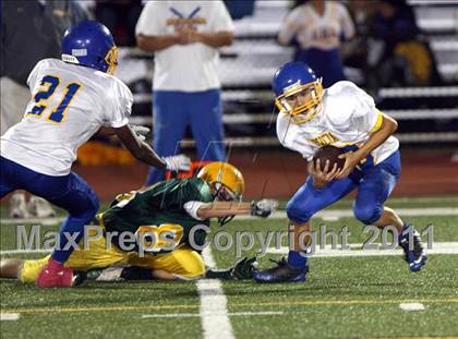 Thumbnail 2 in Benicia @ Vanden photogallery.