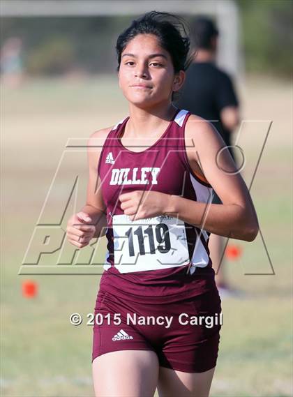 Thumbnail 1 in SWTJC Invitational photogallery.