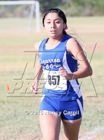 Thumbnail 1 in SWTJC Invitational photogallery.