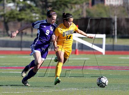 Thumbnail 1 in Bishop O'Dowd vs Piedmont (CIF NCS D2 Final) photogallery.