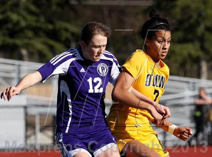 Thumbnail 3 in Bishop O'Dowd vs Piedmont (CIF NCS D2 Final) photogallery.