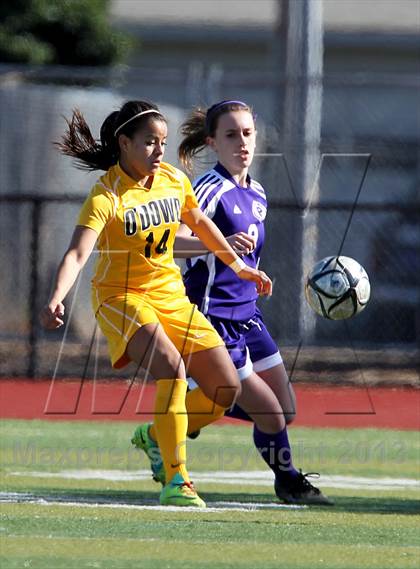 Thumbnail 3 in Bishop O'Dowd vs Piedmont (CIF NCS D2 Final) photogallery.