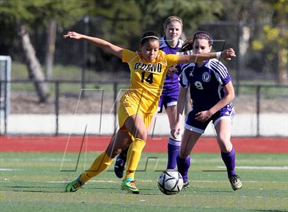 Thumbnail 3 in Bishop O'Dowd vs Piedmont (CIF NCS D2 Final) photogallery.