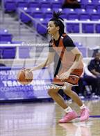 Photo from the gallery "Stevens @ O'Connor"