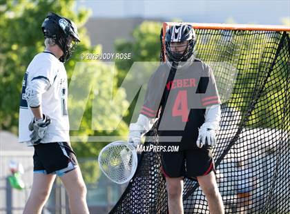 Thumbnail 3 in Weber @ Syracuse photogallery.