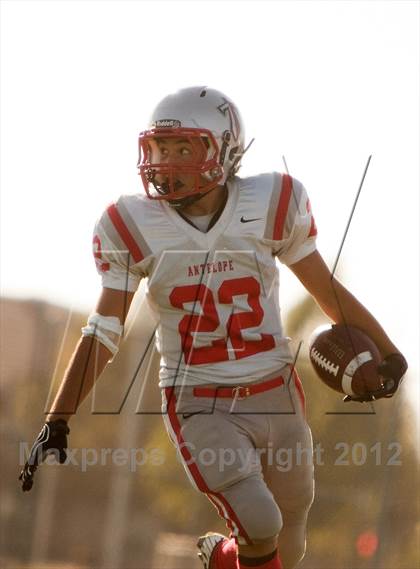 Thumbnail 2 in Antelope @ Monterey Trail photogallery.