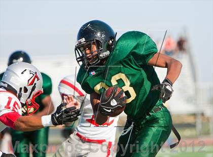 Thumbnail 3 in Antelope @ Monterey Trail photogallery.