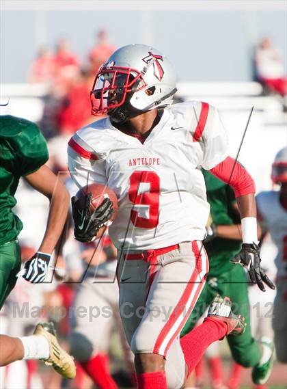 Thumbnail 3 in Antelope @ Monterey Trail photogallery.