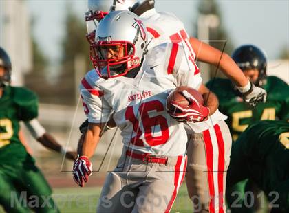 Thumbnail 1 in Antelope @ Monterey Trail photogallery.