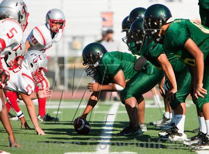 Thumbnail 3 in Antelope @ Monterey Trail photogallery.