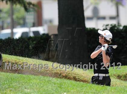 Thumbnail 2 in CIF State Boys Golf Championships photogallery.