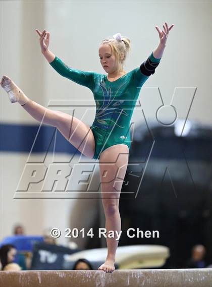Thumbnail 2 in CHSAA Gymnastics Individual Championships photogallery.