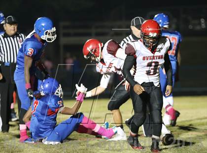 Thumbnail 2 in Overton @ McGavock photogallery.