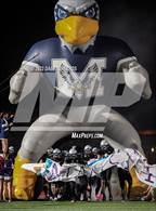 Photo from the gallery "St. Augustine @ Madison"