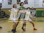 Photo from the gallery "Forest @ Trinity Catholic"