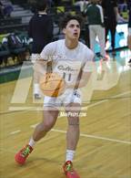 Photo from the gallery "Forest @ Trinity Catholic"