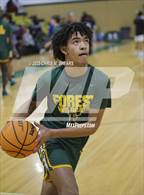 Photo from the gallery "Forest @ Trinity Catholic"