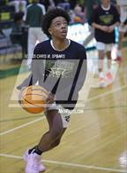 Photo from the gallery "Forest @ Trinity Catholic"