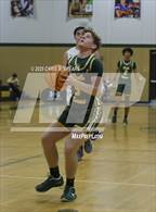 Photo from the gallery "Forest @ Trinity Catholic"
