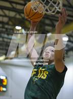 Photo from the gallery "Forest @ Trinity Catholic"