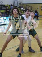 Photo from the gallery "Forest @ Trinity Catholic"