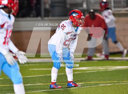 Thumbnail 1 in Hirschi @ Mineral Wells photogallery.
